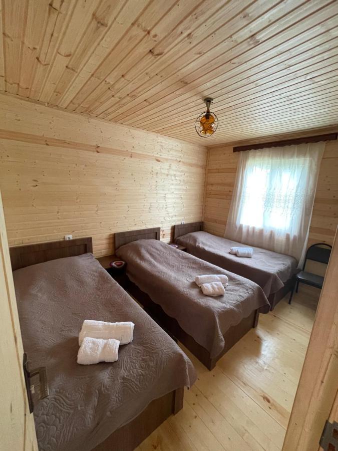 Hostal Warm House Kazbegi Exterior foto